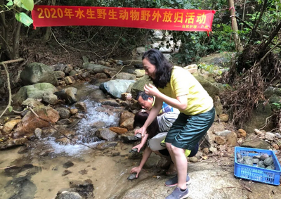 野生动物放归活动